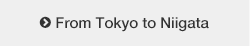 From Tokyo to Niigata